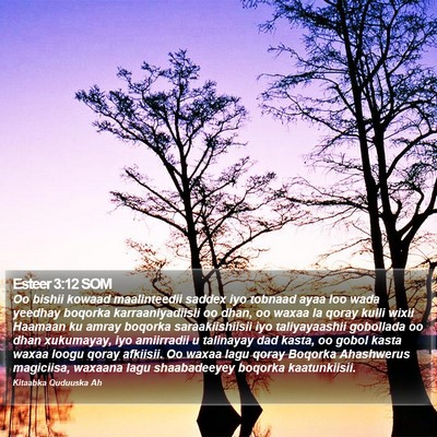 Esteer 3:12 SOM Bible Verse Image