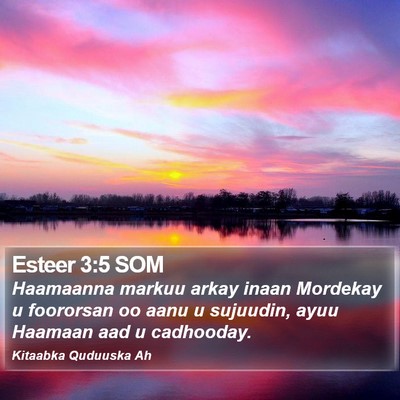 Esteer 3:5 SOM Bible Verse Image