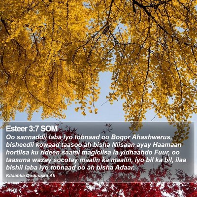 Esteer 3:7 SOM Bible Verse Image