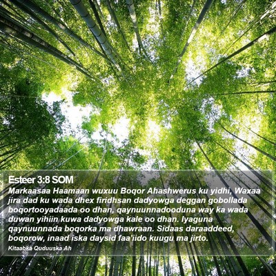 Esteer 3:8 SOM Bible Verse Image