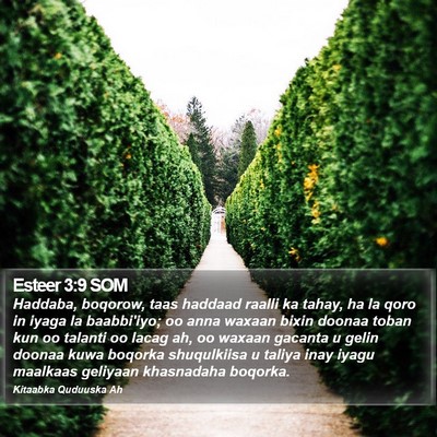 Esteer 3:9 SOM Bible Verse Image