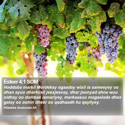 Esteer 4:1 SOM Bible Verse Image