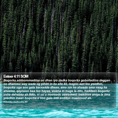 Esteer 4:11 SOM Bible Verse Image