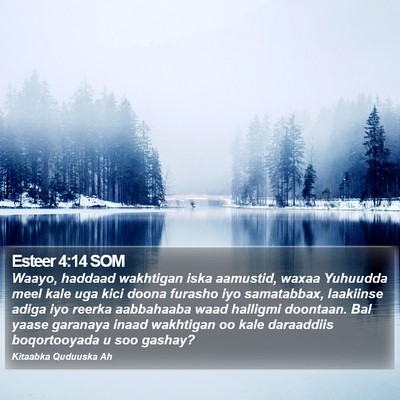 Esteer 4:14 SOM Bible Verse Image