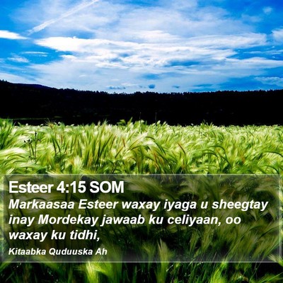 Esteer 4:15 SOM Bible Verse Image