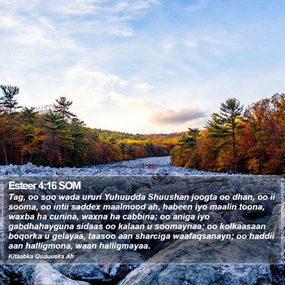 Esteer 4:16 SOM Bible Verse Image