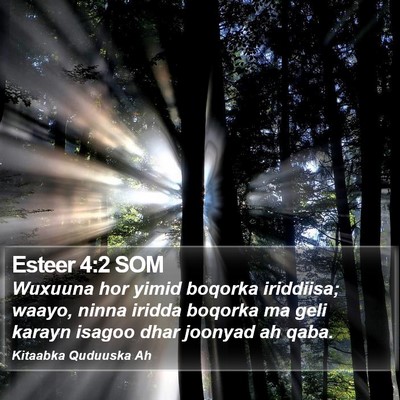 Esteer 4:2 SOM Bible Verse Image