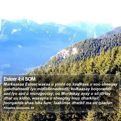 Esteer 4:4 SOM Bible Verse Image