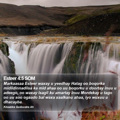 Esteer 4:5 SOM Bible Verse Image