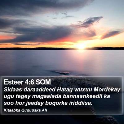 Esteer 4:6 SOM Bible Verse Image