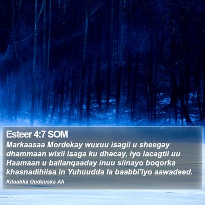 Esteer 4:7 SOM Bible Verse Image