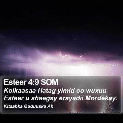 Esteer 4:9 SOM Bible Verse Image