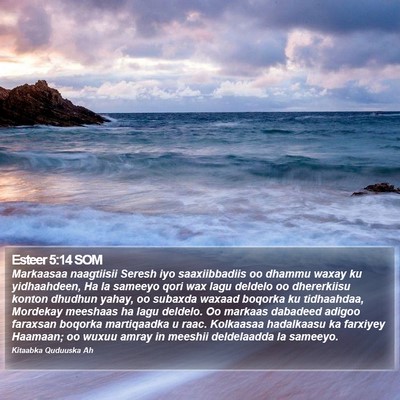 Esteer 5:14 SOM Bible Verse Image