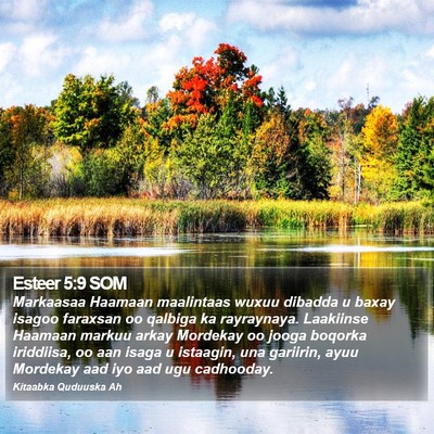 Esteer 5:9 SOM Bible Verse Image