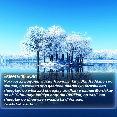 Esteer 6:10 SOM Bible Verse Image