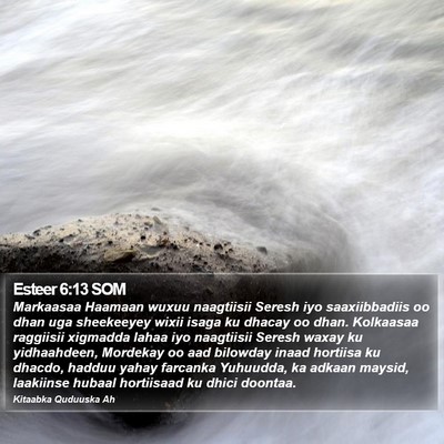 Esteer 6:13 SOM Bible Verse Image