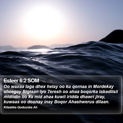Esteer 6:2 SOM Bible Verse Image