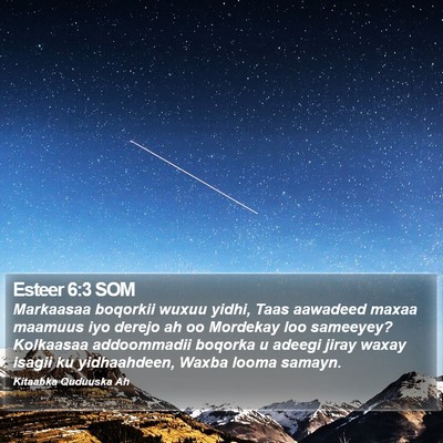Esteer 6:3 SOM Bible Verse Image