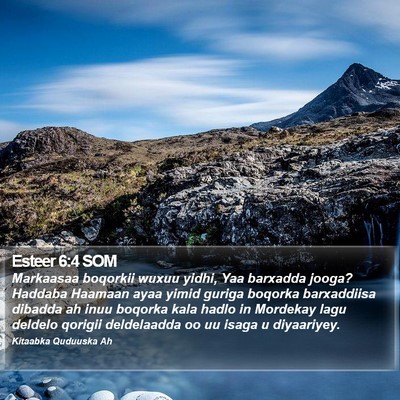 Esteer 6:4 SOM Bible Verse Image