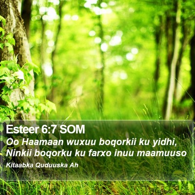 Esteer 6:7 SOM Bible Verse Image