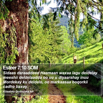 Esteer 7:10 SOM Bible Verse Image
