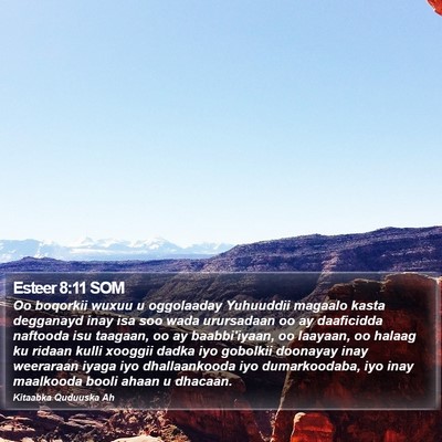 Esteer 8:11 SOM Bible Verse Image