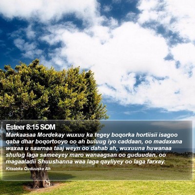 Esteer 8:15 SOM Bible Verse Image