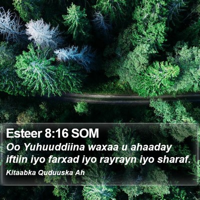 Esteer 8:16 SOM Bible Verse Image
