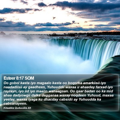 Esteer 8:17 SOM Bible Verse Image