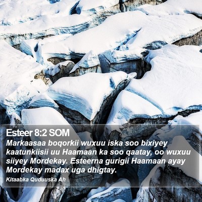 Esteer 8:2 SOM Bible Verse Image