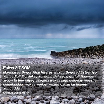 Esteer 8:7 SOM Bible Verse Image