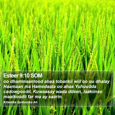 Esteer 9:10 SOM Bible Verse Image
