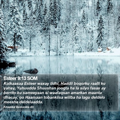 Esteer 9:13 SOM Bible Verse Image
