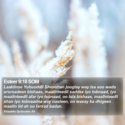 Esteer 9:18 SOM Bible Verse Image