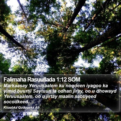 Falimaha Rasuullada 1:12 SOM Bible Verse Image