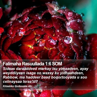 Falimaha Rasuullada 1:6 SOM Bible Verse Image