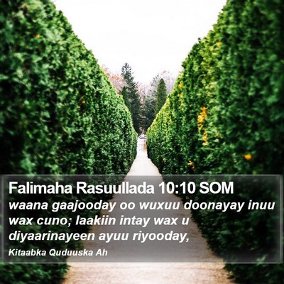 Falimaha Rasuullada 10:10 SOM Bible Verse Image