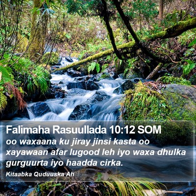 Falimaha Rasuullada 10:12 SOM Bible Verse Image