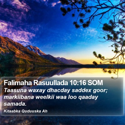 Falimaha Rasuullada 10:16 SOM Bible Verse Image