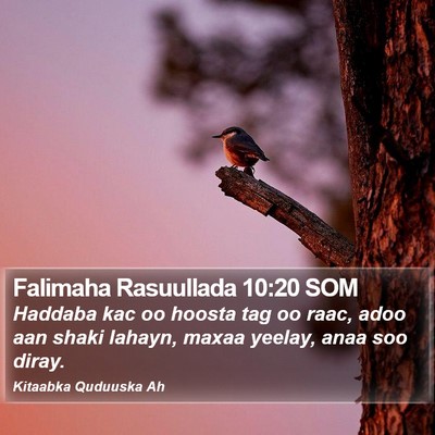 Falimaha Rasuullada 10:20 SOM Bible Verse Image