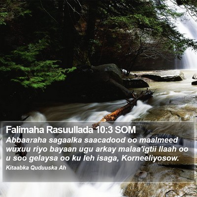 Falimaha Rasuullada 10:3 SOM Bible Verse Image