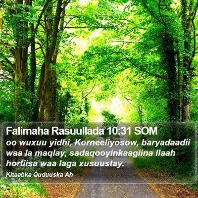 Falimaha Rasuullada 10:31 SOM Bible Verse Image