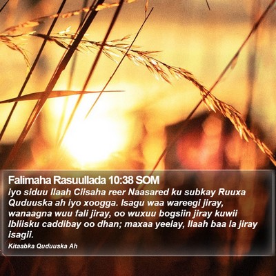 Falimaha Rasuullada 10:38 SOM Bible Verse Image