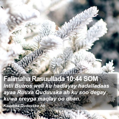 Falimaha Rasuullada 10:44 SOM Bible Verse Image