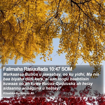 Falimaha Rasuullada 10:47 SOM Bible Verse Image