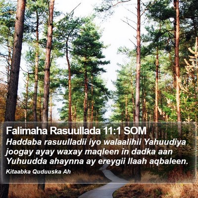 Falimaha Rasuullada 11:1 SOM Bible Verse Image
