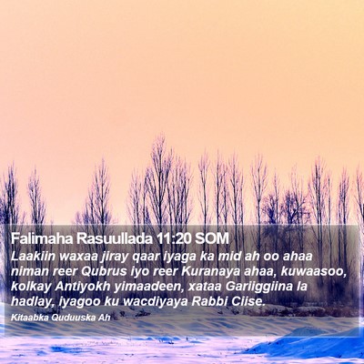 Falimaha Rasuullada 11:20 SOM Bible Verse Image