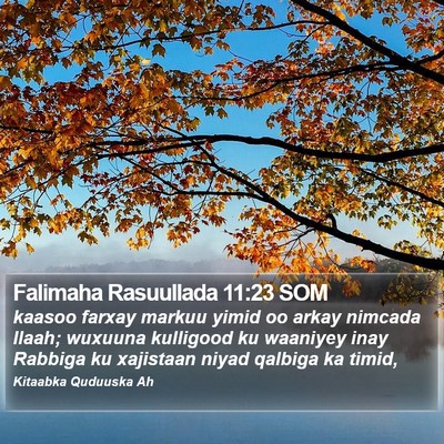 Falimaha Rasuullada 11:23 SOM Bible Verse Image