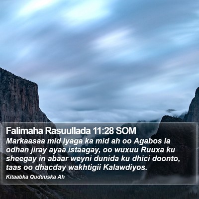 Falimaha Rasuullada 11:28 SOM Bible Verse Image