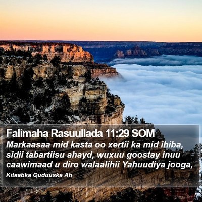 Falimaha Rasuullada 11:29 SOM Bible Verse Image
